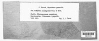 Image Associated With the Occurence